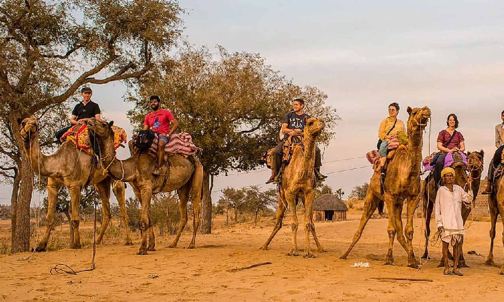 Short Rajasthan Tour